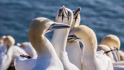 爱游戏-英雄联盟高校联赛火热报名中，校园战火燃起，英雄联盟高校联赛2021报名