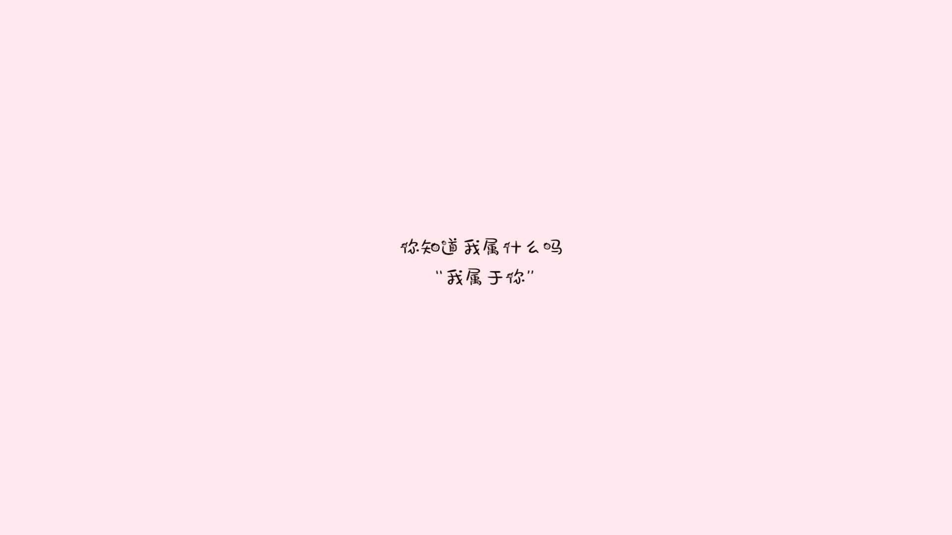 战队新人多面手表现亮眼，战队展示