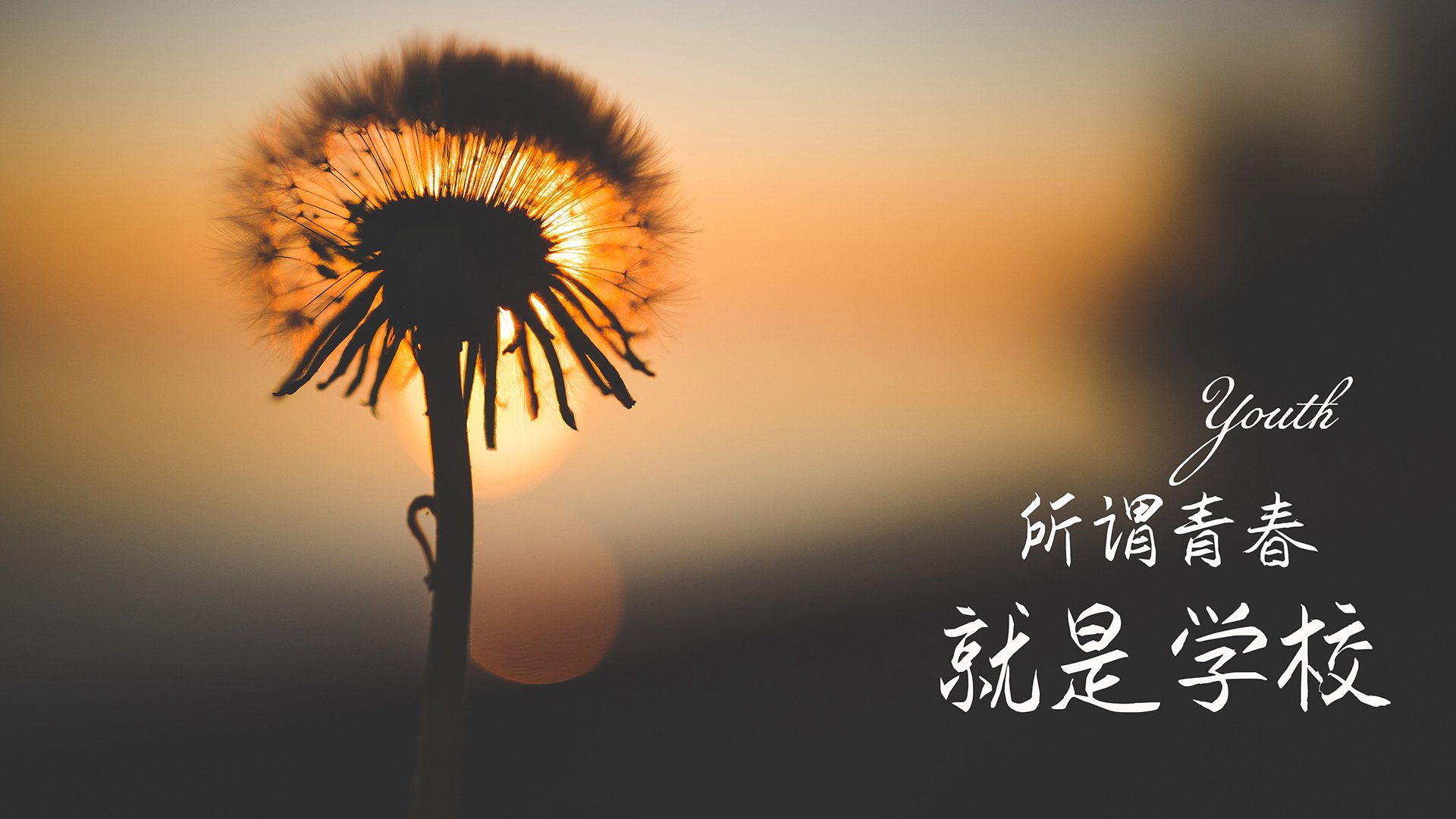 莱斯特城逆转三连胜，郑智神勇发挥，赛季表现令人惊艳，莱斯特城夺冠战术