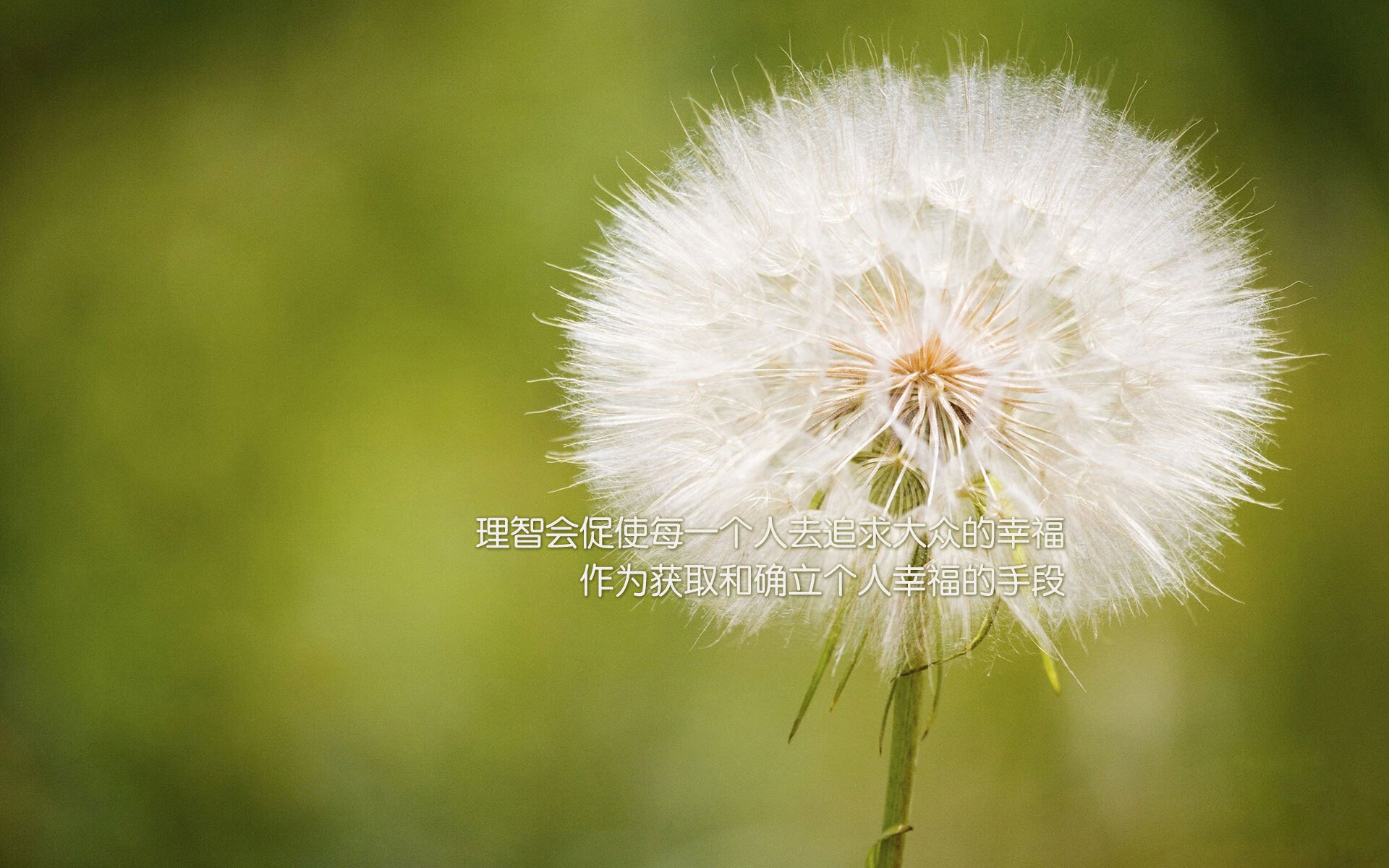 职业球员对战术执行理解力为何参差不齐，球赛战术