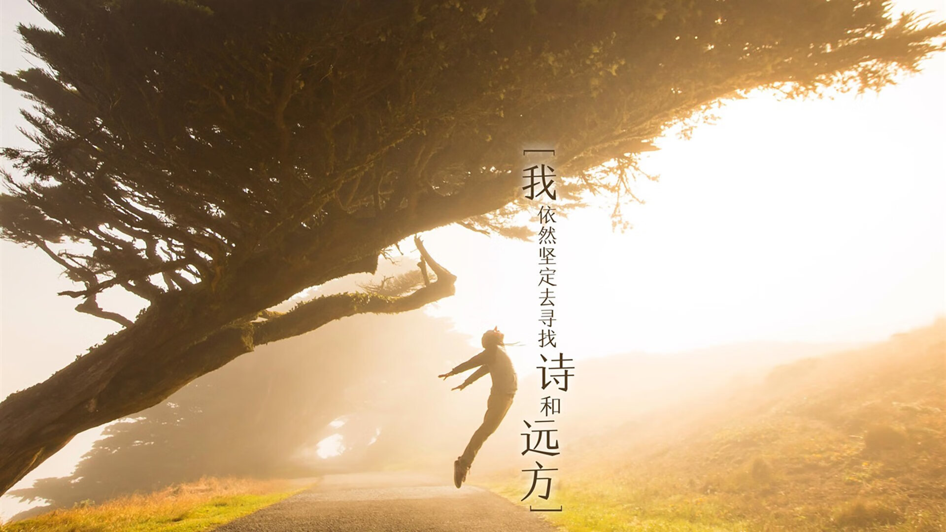 世界杯VAR技术更新解释，世界杯var技术更新解释是什么