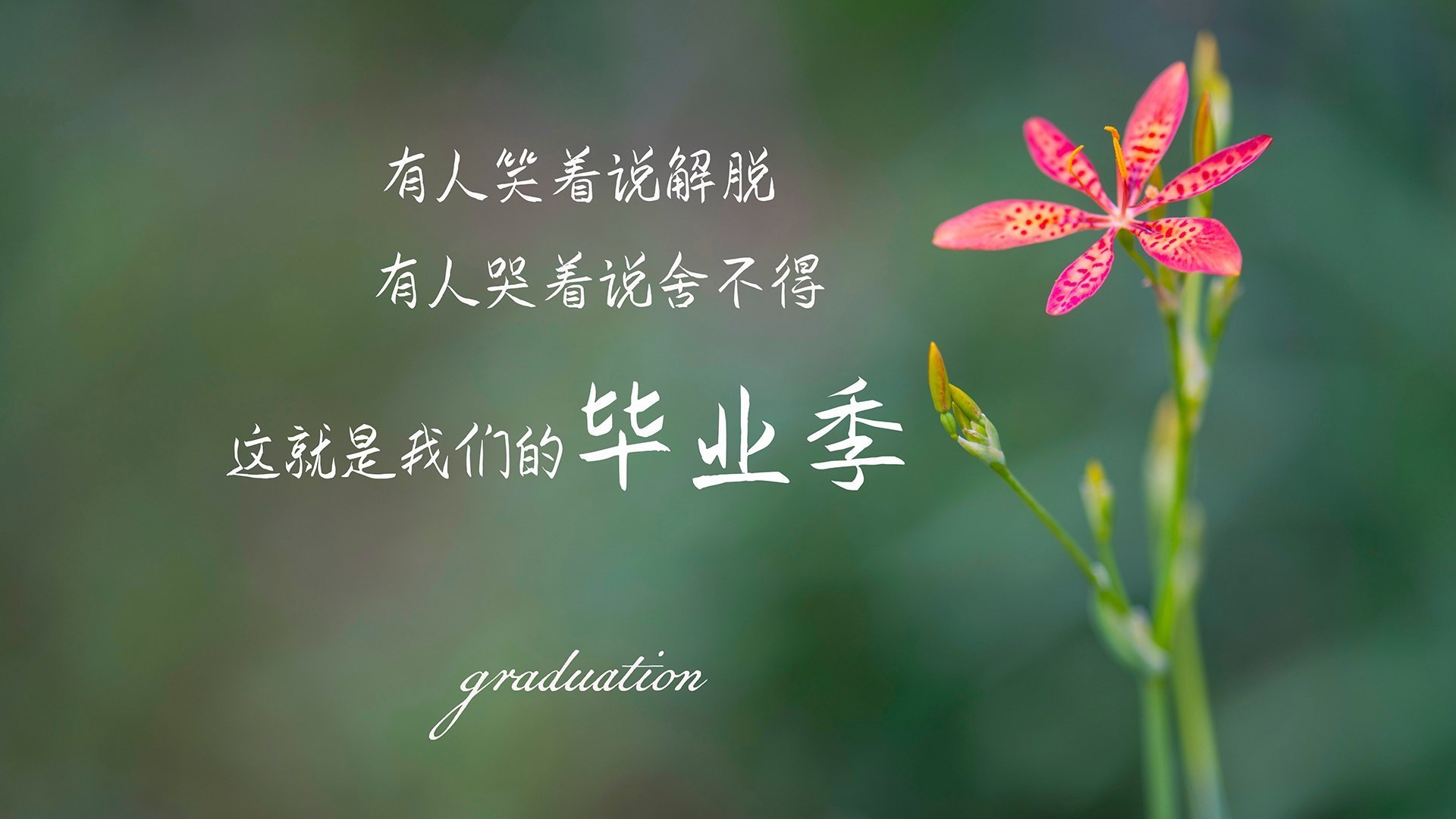 布隆迪男篮在非洲赛场激战正酣，冲击奥运梦想