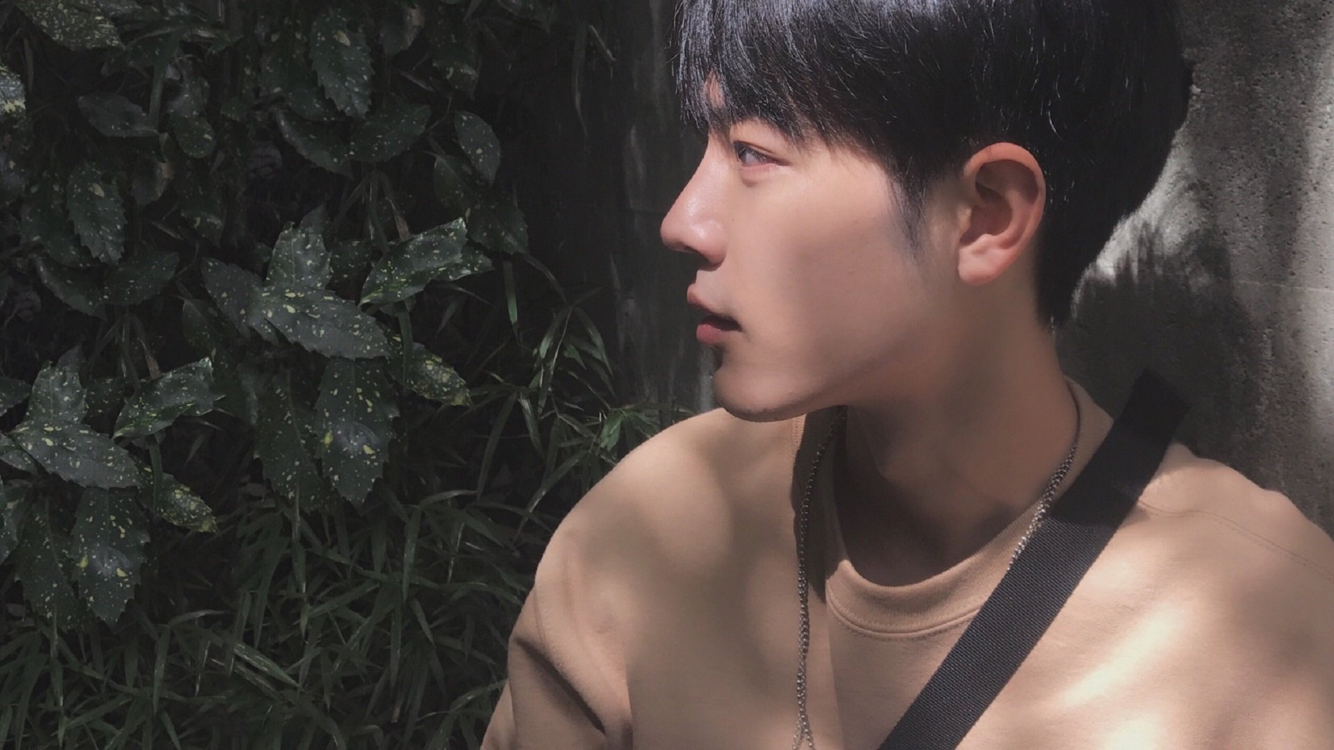 德克斯蝶泳动作流畅获教练称赞