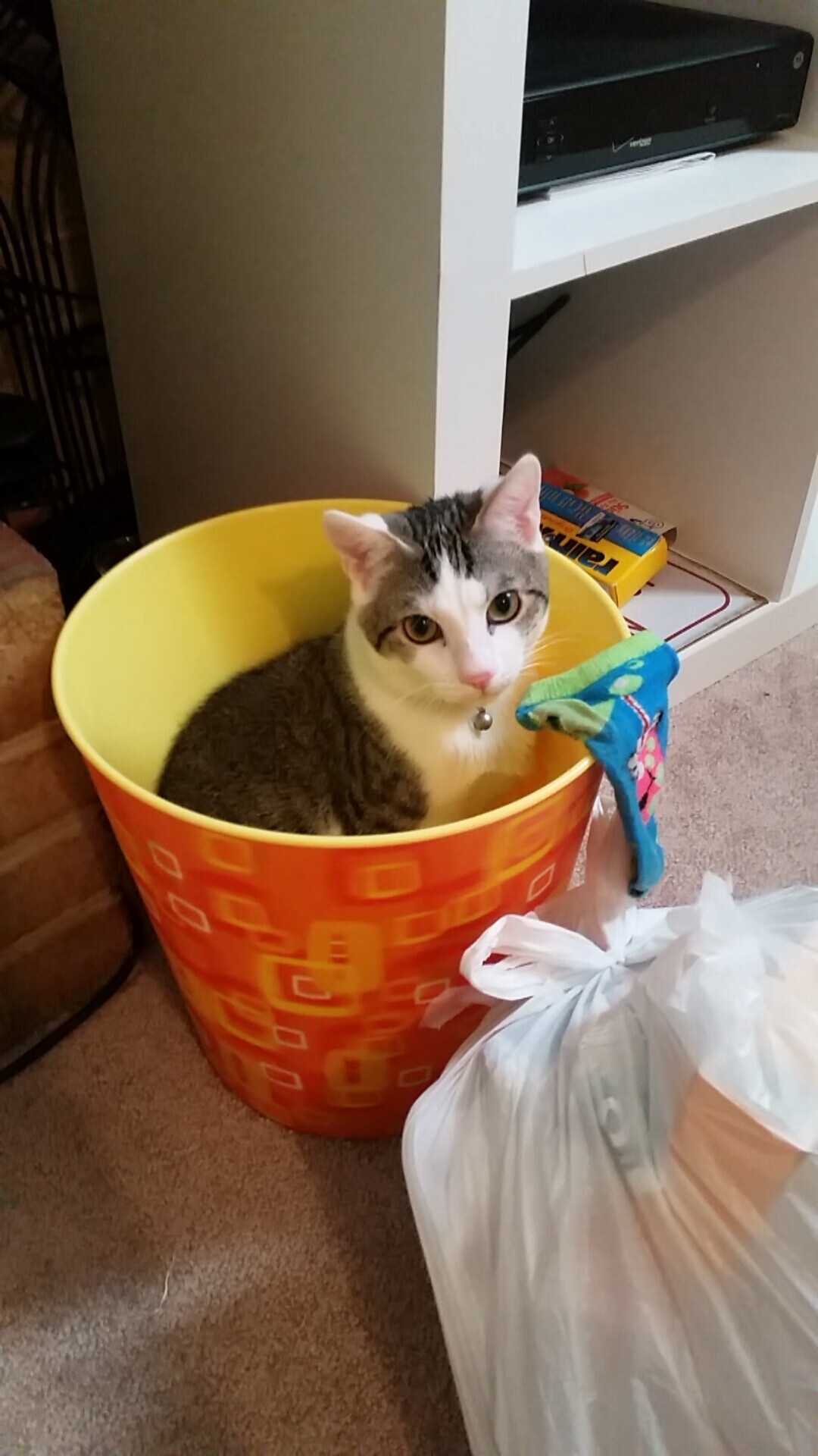 爱游戏中国官方网站平台-拉文本场投篮选择更合理效率显著提升，拉文本赛季集锦