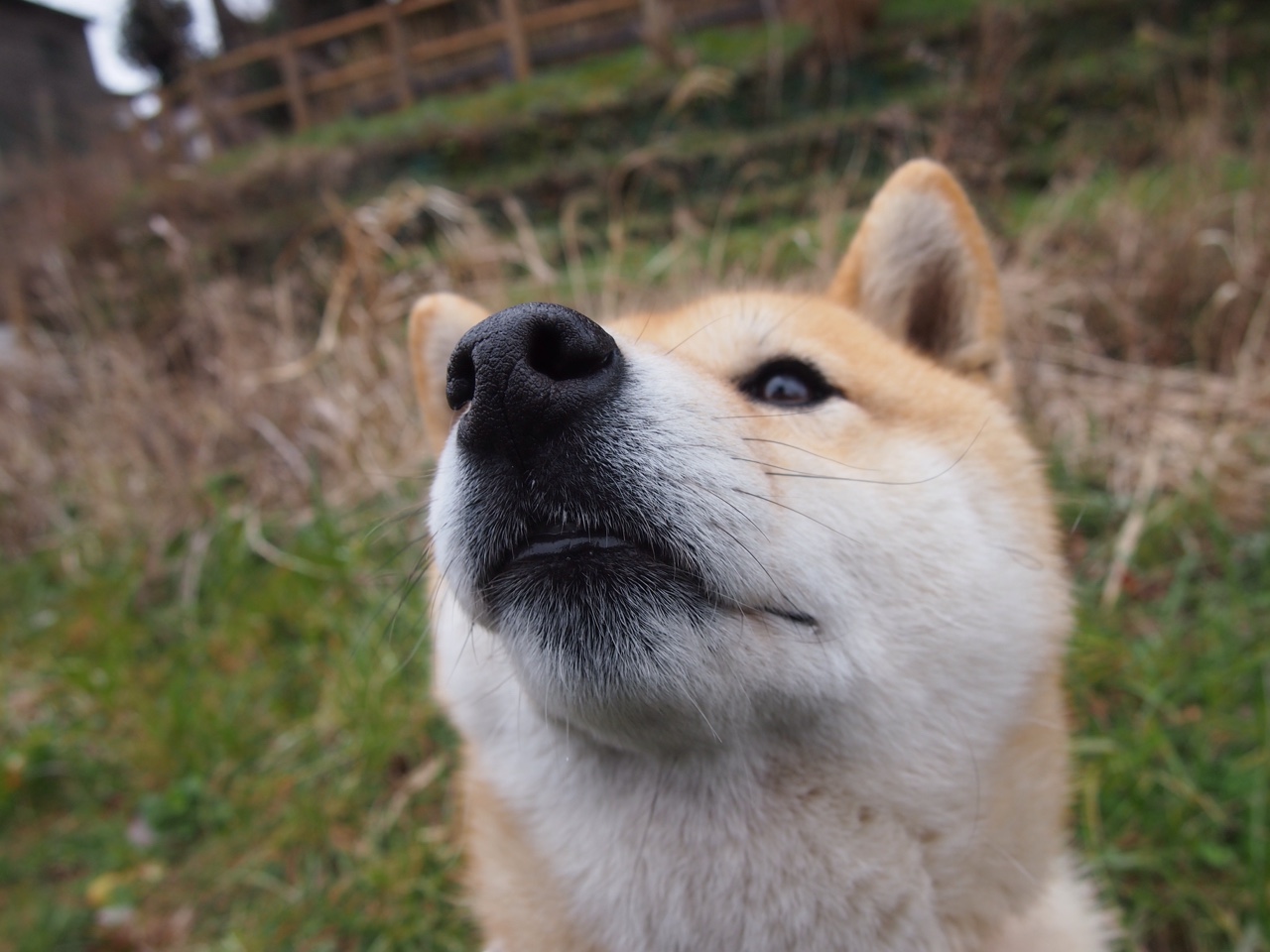 曼联内部视频记录更衣室温情瞬间，曼联的视频