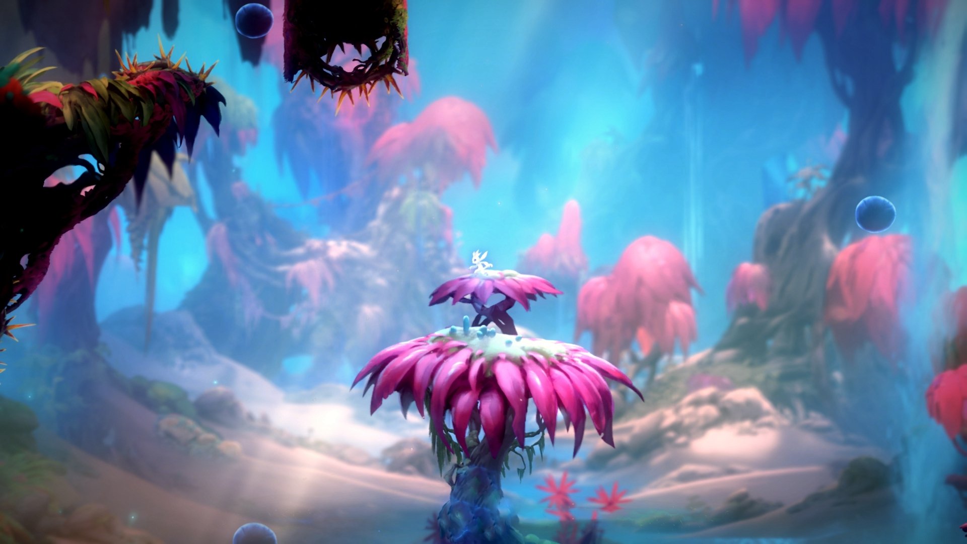 格鲁吉亚女篮在欧洲锦标赛中表现亮眼，期待新突破