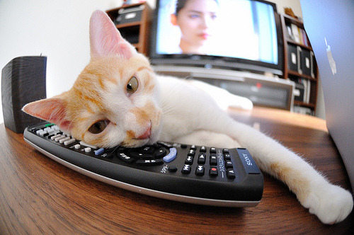 足球助教团队壮大，科学训练倍受重视，足球队助教工资多少大概