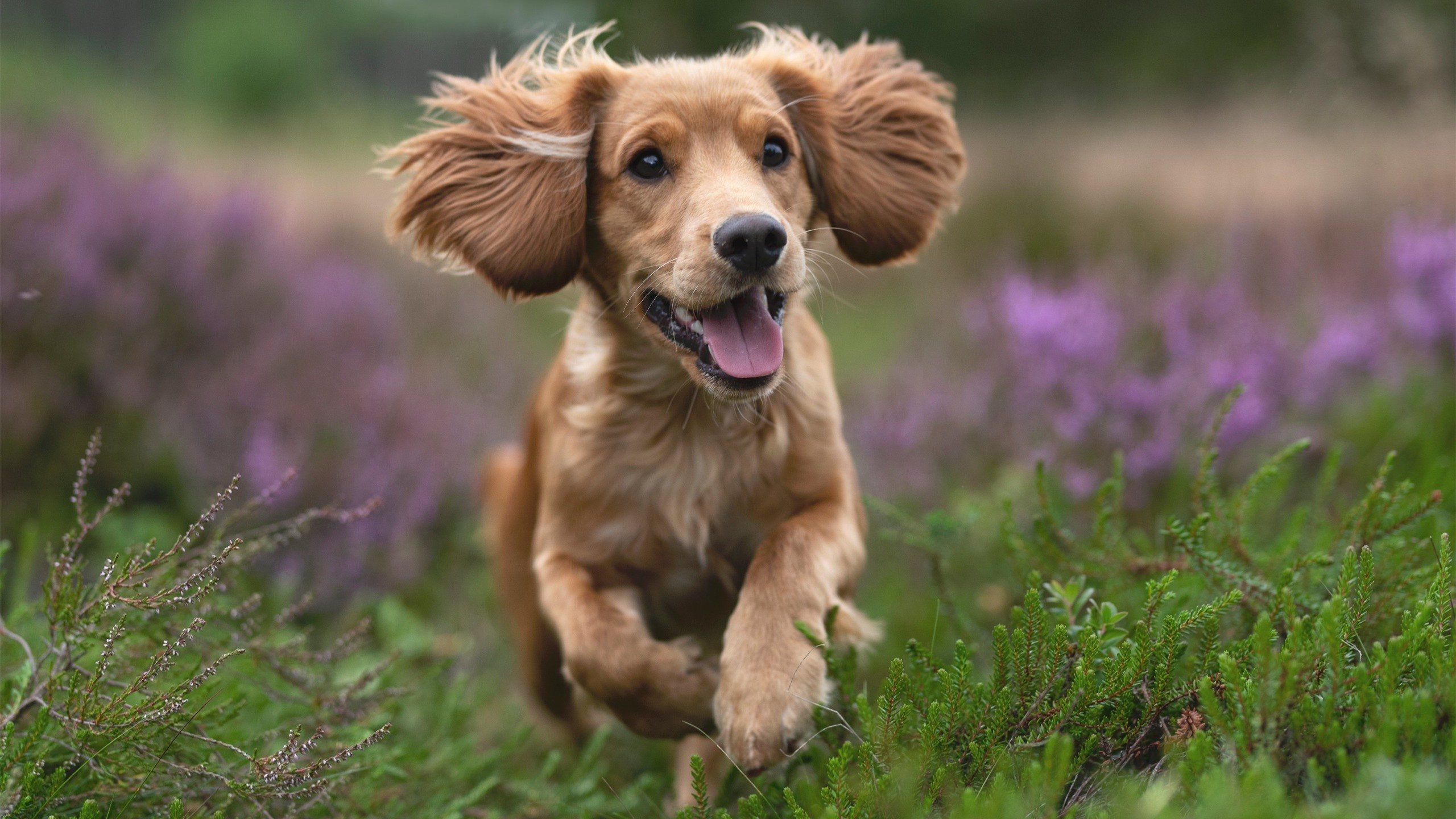 跨国示范场馆建设推进，绿色环保和智能科技齐头并进，跨国展览中心