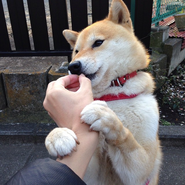 跨国示范场馆建设推进，绿色环保和智能科技齐头并进，跨国展览中心
