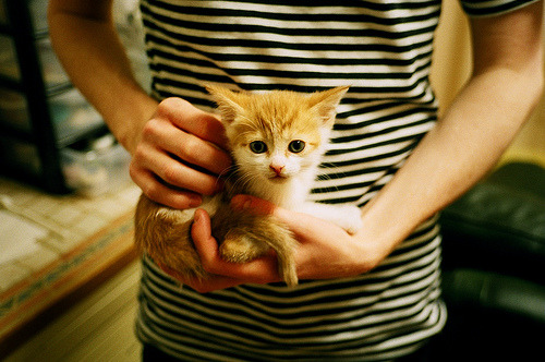 阿根廷年轻天才逐步崭露头角,球队未来充满希望