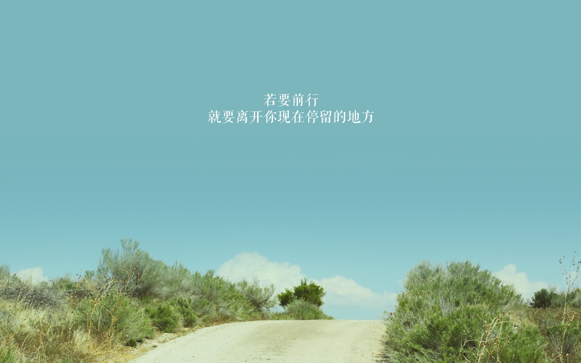 麦金托什完美转身成制胜关键，麦金托什海报