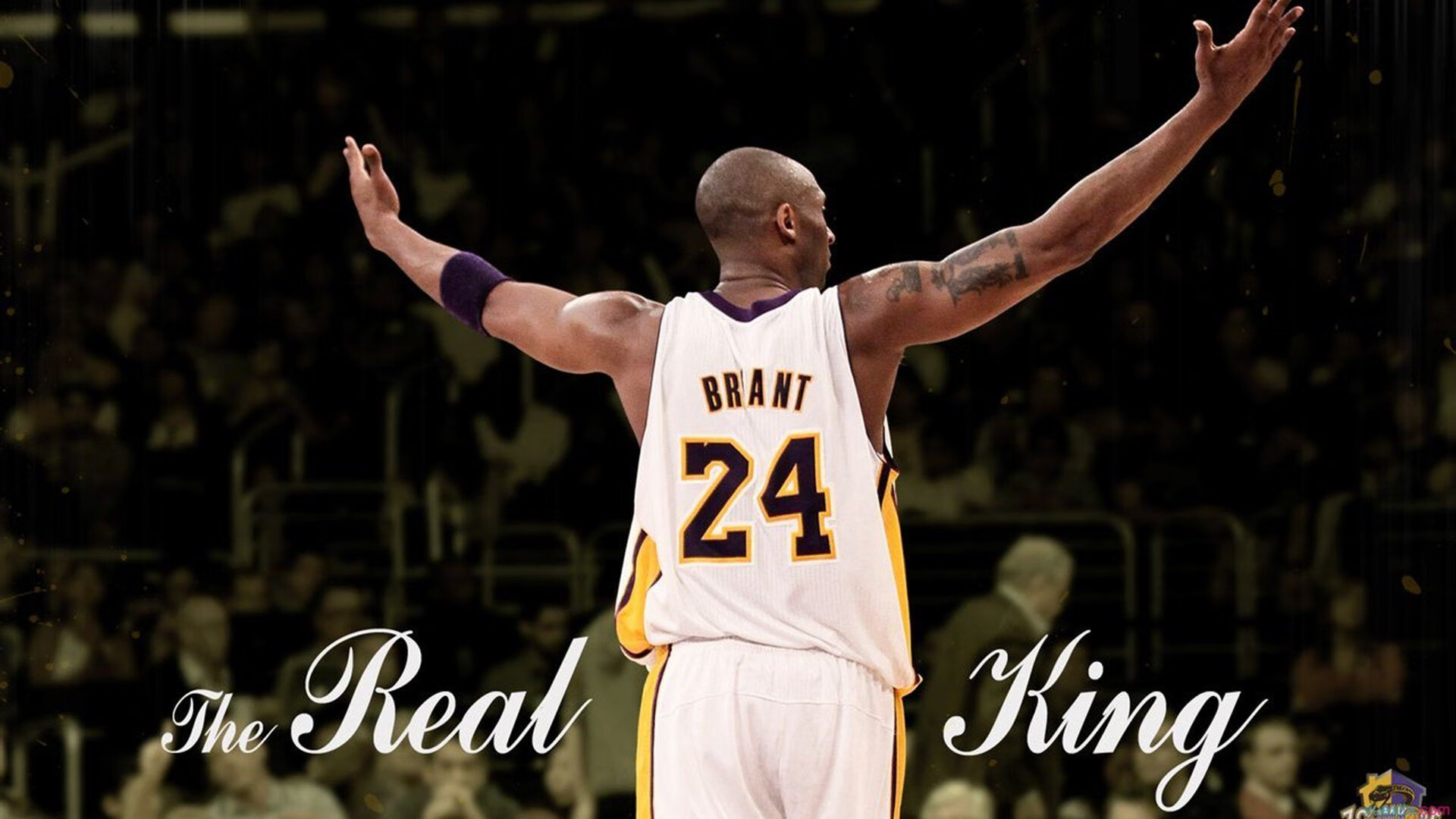 爱游戏体育平台-未来篮球场：全息投影与虚拟场景成新宠，未来篮球馆