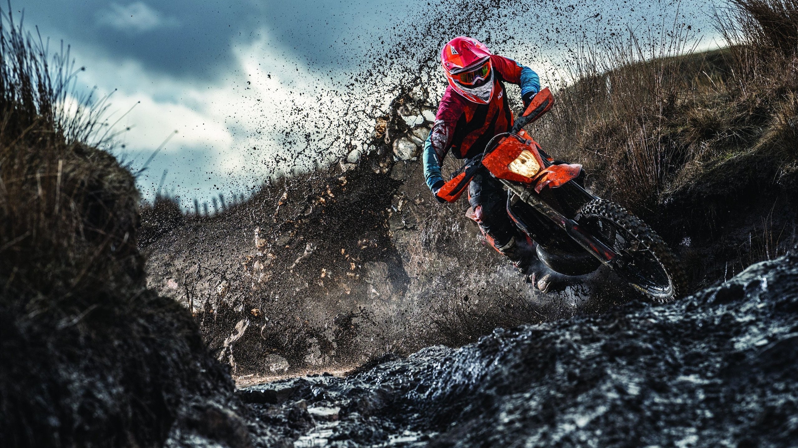 社会责任：联盟明星的公益故事温暖全场，明星公益事件